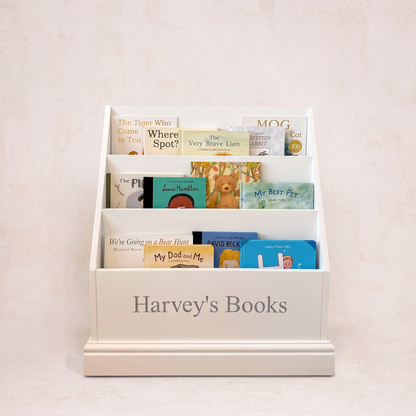 Little Library Book shelf